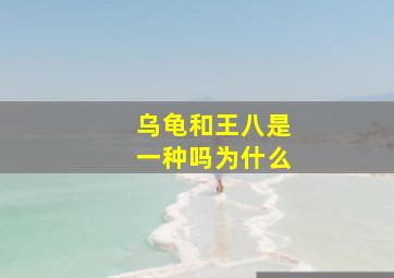 乌龟和王八是一种吗为什么