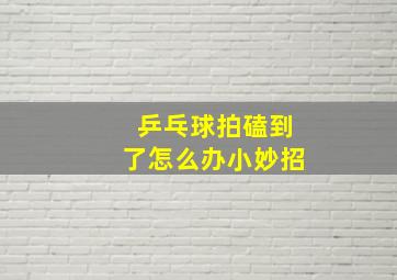 乒乓球拍磕到了怎么办小妙招