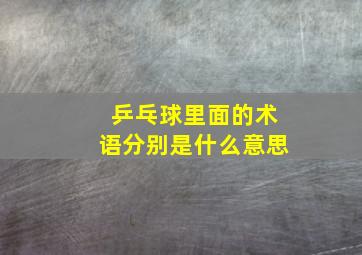 乒乓球里面的术语分别是什么意思