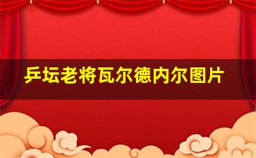 乒坛老将瓦尔德内尔图片