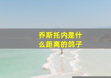 乔斯托内是什么距离的鸽子