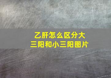 乙肝怎么区分大三阳和小三阳图片