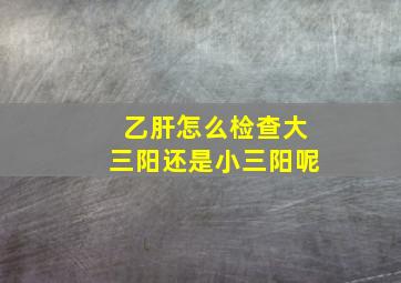 乙肝怎么检查大三阳还是小三阳呢