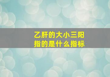 乙肝的大小三阳指的是什么指标