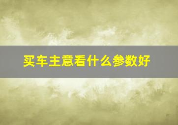 买车主意看什么参数好