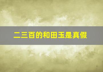 二三百的和田玉是真假