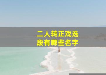 二人转正戏选段有哪些名字