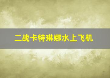 二战卡特琳娜水上飞机