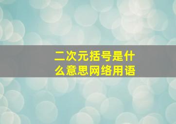 二次元括号是什么意思网络用语