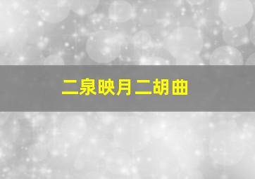 二泉映月二胡曲