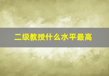 二级教授什么水平最高