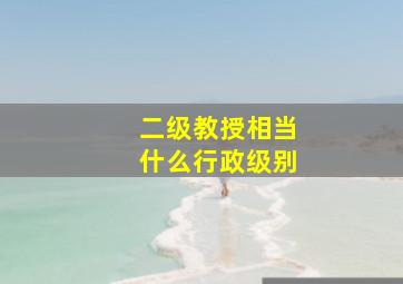 二级教授相当什么行政级别