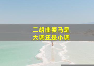 二胡曲赛马是大调还是小调