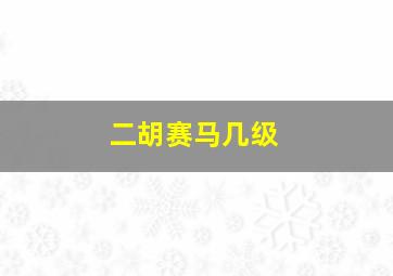 二胡赛马几级