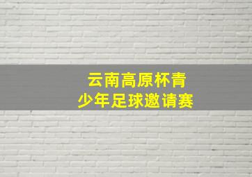 云南高原杯青少年足球邀请赛