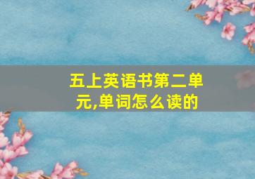 五上英语书第二单元,单词怎么读的