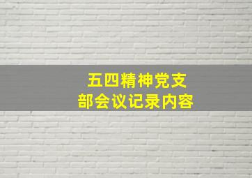 五四精神党支部会议记录内容