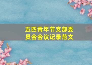 五四青年节支部委员会会议记录范文