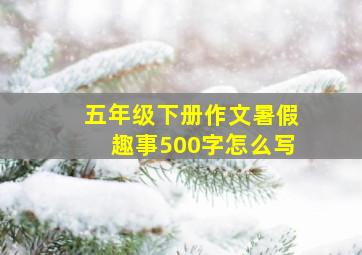 五年级下册作文暑假趣事500字怎么写