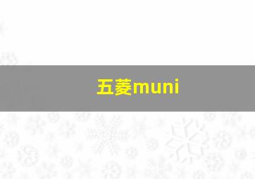 五菱muni