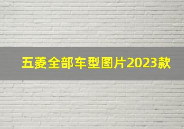 五菱全部车型图片2023款