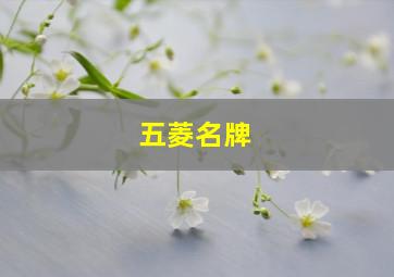 五菱名牌