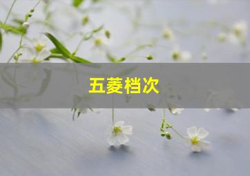 五菱档次