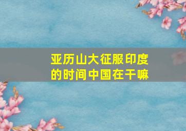 亚历山大征服印度的时间中国在干嘛