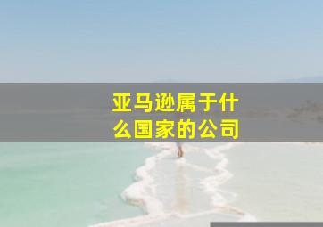 亚马逊属于什么国家的公司