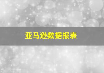 亚马逊数据报表