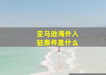 亚马逊海外入驻条件是什么