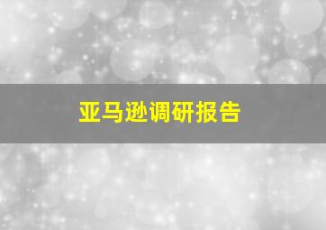 亚马逊调研报告