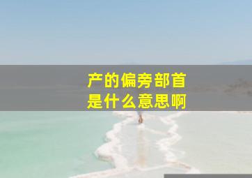 产的偏旁部首是什么意思啊