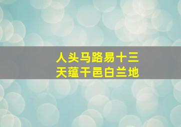 人头马路易十三天蕴干邑白兰地