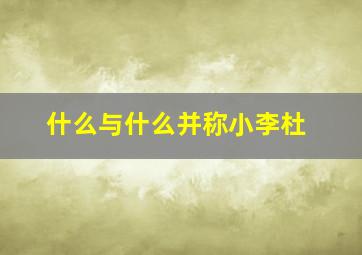 什么与什么并称小李杜