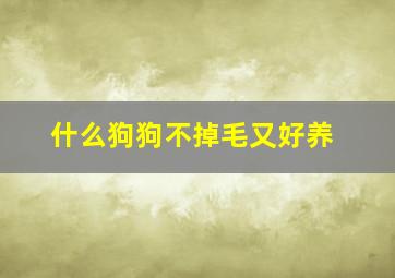 什么狗狗不掉毛又好养