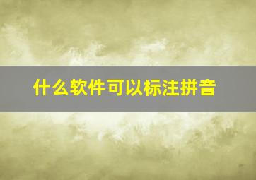 什么软件可以标注拼音