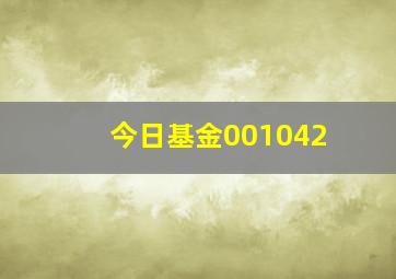 今日基金001042