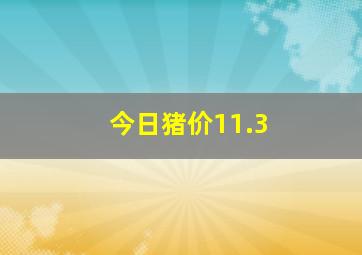 今日猪价11.3