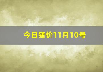 今日猪价11月10号