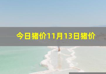 今日猪价11月13日猪价