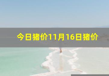 今日猪价11月16日猪价