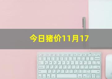 今日猪价11月17