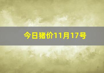 今日猪价11月17号