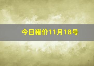 今日猪价11月18号