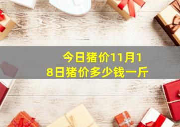 今日猪价11月18日猪价多少钱一斤