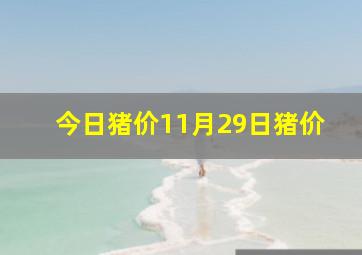 今日猪价11月29日猪价