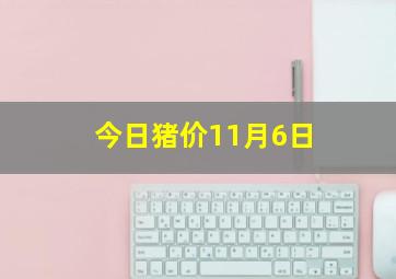 今日猪价11月6日