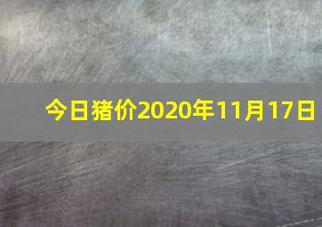 今日猪价2020年11月17日