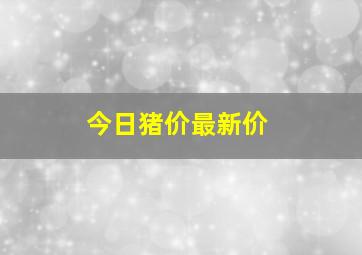 今日猪价最新价